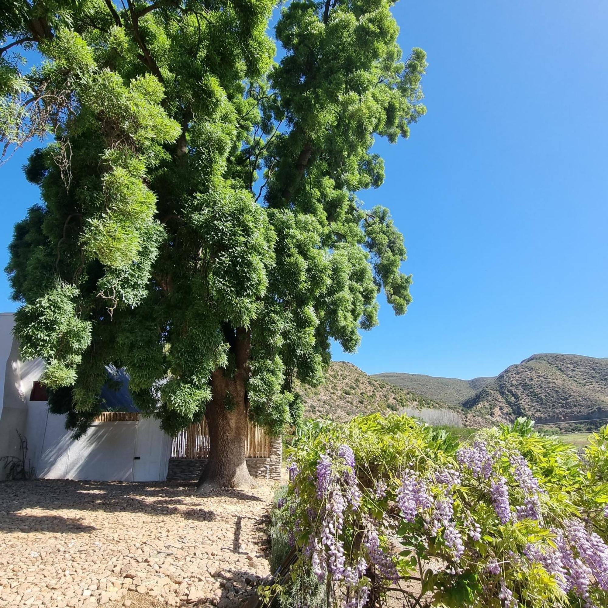 De Kombuys Oudtshoorn Ngoại thất bức ảnh