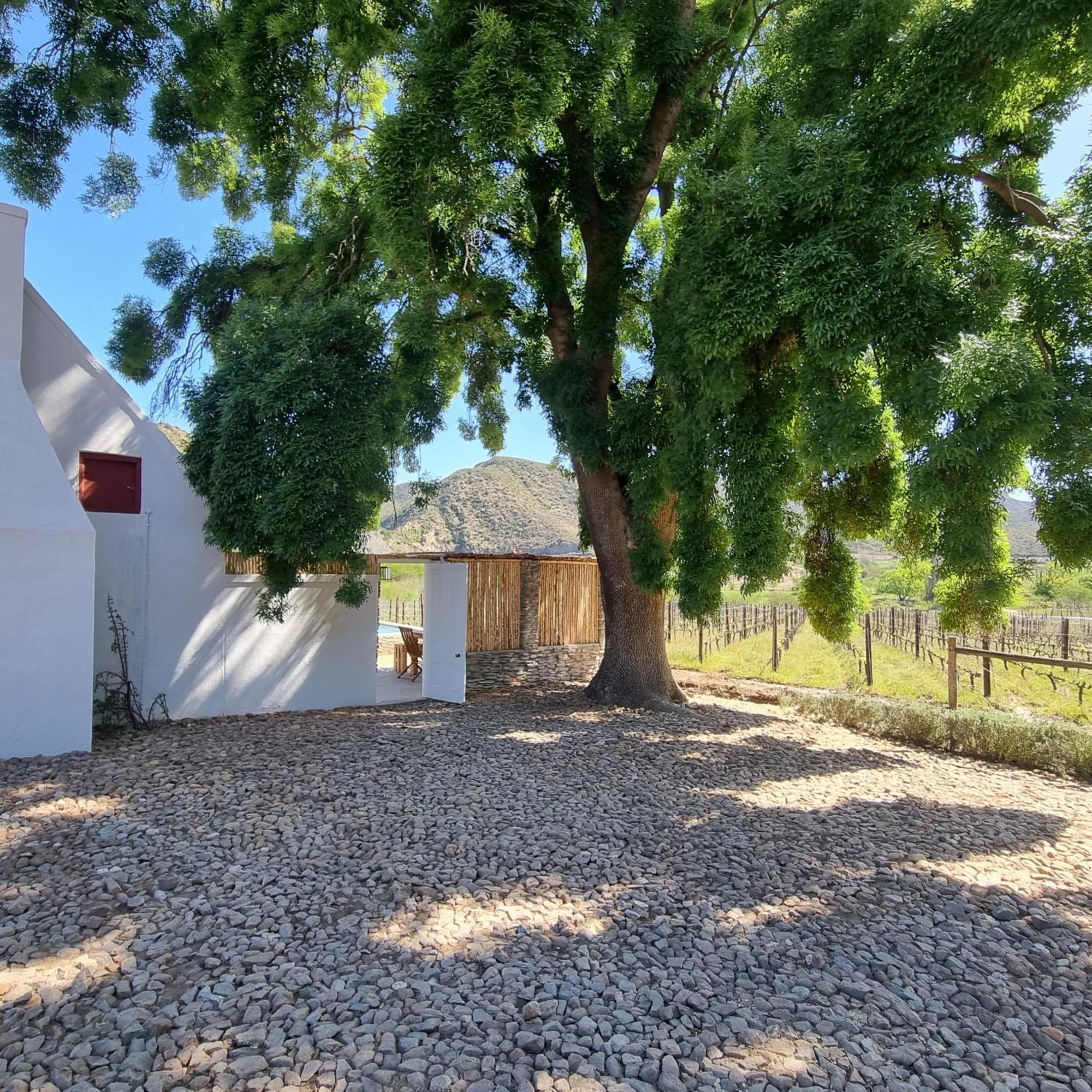 De Kombuys Oudtshoorn Ngoại thất bức ảnh