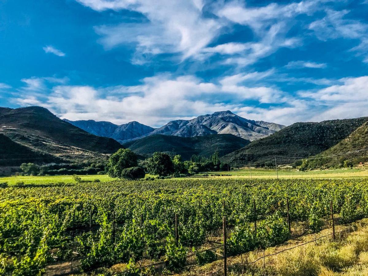 De Kombuys Oudtshoorn Ngoại thất bức ảnh
